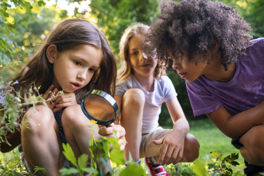 Sensibilisation et Education
